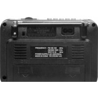 Ritmix RPR-171 Image #5