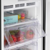 Nord (Nordfrost) DF 261 BAP Image #9