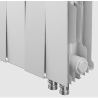 Royal Thermo PianoForte 300 VDR Silver Satin (8 секций) Image #3