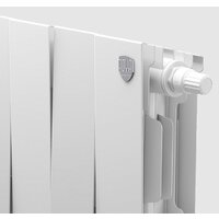 Royal Thermo PianoForte 300 VDR Silver Satin (8 секций) Image #4