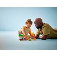 LEGO Duplo Disney День Рождения 10457 Image #6