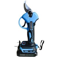 Favourite НЖ 21 (с 1-им АКБ, кейс)