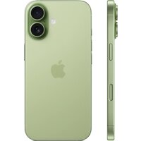 Apple iPhone 17 Dual eSIM 256GB (зеленый) Image #3