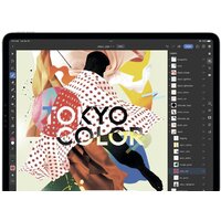 Apple iPad Pro 12.9" 2022 256GB MNXR3 (серый космос) Image #9