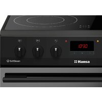 Hansa FCCM69225H Image #3