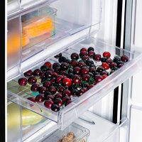 Nord (Nordfrost) DF 268 BAP Image #10