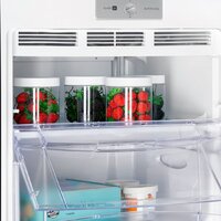 Nord (Nordfrost) DF 268 BAP Image #9