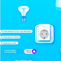 TP-Link Tapo P100 Image #7