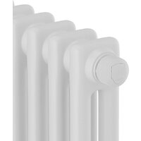 Royal Thermo Insignia C2180 - 12 секций RAL9016 Image #4