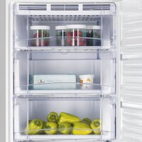 Nord (Nordfrost) DF 265 SAP Image #8