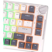 Royal Kludge RK-H81 RGB White Night (RK Blue) Image #4