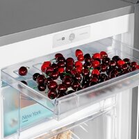 Nord (Nordfrost) DF 260NF SAP Image #7