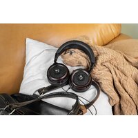 Radiotehnika Feylon (черный) Image #11