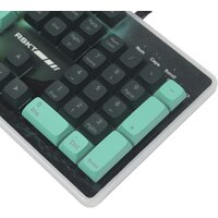 Raskat KG002 Image #5