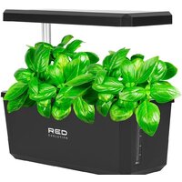 Комнатные растения, флорариумы