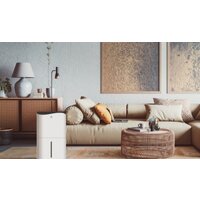 Royal Clima Pacific Villa RD-PC40-E Image #6