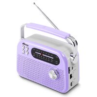 Ritmix RPR-045 (сиреневый) Image #2