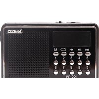 Сигнал РП-221