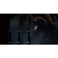 Bloodborne: Порождение крови для PlayStation 4 Image #25