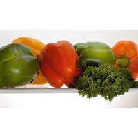 POZIS RK-101 (серебро) Image #4