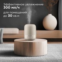 Redmond (Редмонд) HF2212 (бежевый) Image #2