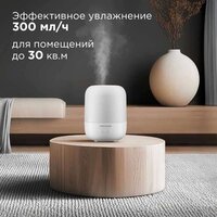 Redmond (Редмонд) HF2212 (белый) Image #2