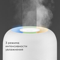 Redmond (Редмонд) HF2212 (белый) Image #3