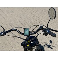 Smart Balance Tank Trike 2024 (камуфляж) Image #7