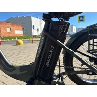 Smart Balance Tank Trike 2024 (камуфляж) Image #4