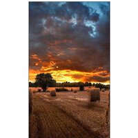 Samsung VM55T-U Image #6