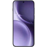 Vivo X300 Pro V2502A 12GB/256GB китайская версия (черный) Image #2
