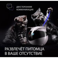 RED Solution Reddy Air Image #6