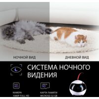 RED Solution Reddy Air Image #8