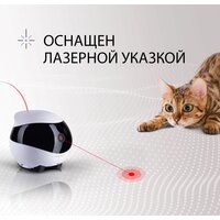 RED Solution Reddy Air Image #12