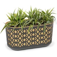 Lamela Aztek LA794-49 (черный/золото) Image #3