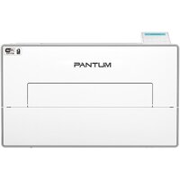 Pantum BP4210DW Image #2