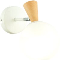 Evoluce Catania SLE220701-01