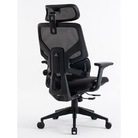 Evolution LumbarPro (черный) Image #3