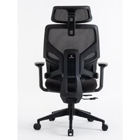 Evolution LumbarPro (черный) Image #4