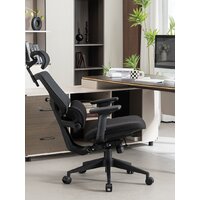 Evolution LumbarPro (черный) Image #11