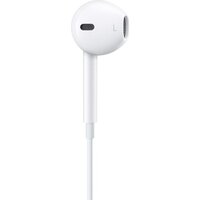Apple EarPods (с разъёмом USB Type-C) Image #3