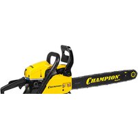 Champion 251-18 Image #2