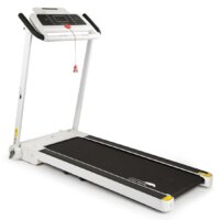 Беговые дорожки