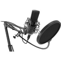 Ritmix RDM-169 Image #2