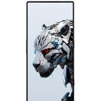 Nubia RedMagic 8S Pro 16GB/512GB международная версия (аврора) Image #4