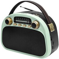 Ritmix RPR-040 (мятный)