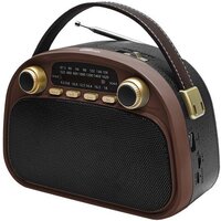 Ritmix RPR-040 (шоколадный)