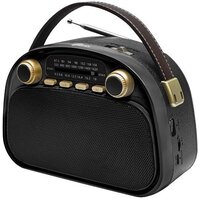 Ritmix RPR-040 (черный)