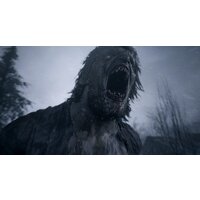 Resident Evil Village. Gold Edition для PlayStation 4 Image #5