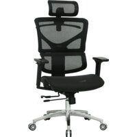 Evolution ERGO Mesh (черный)